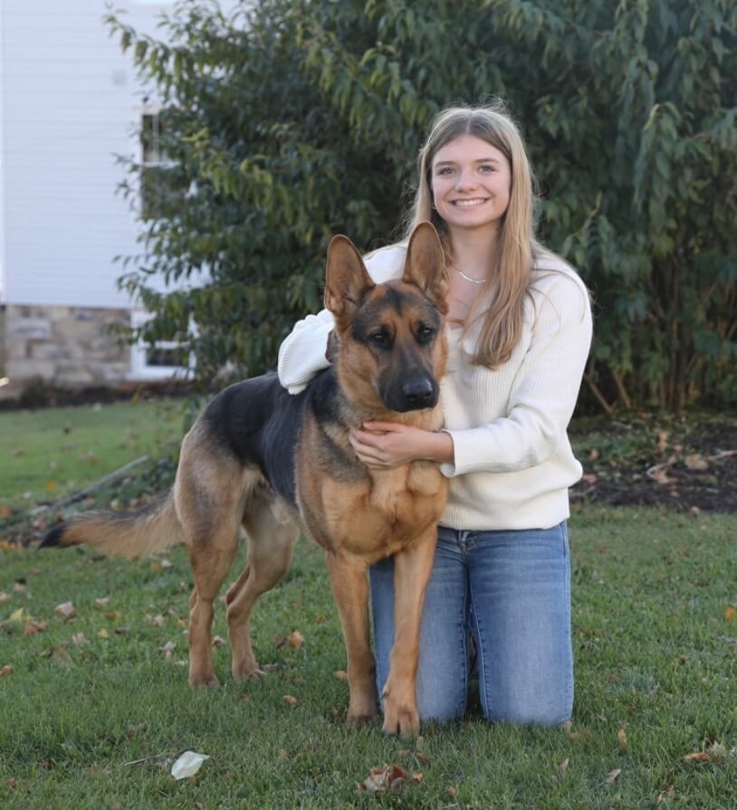 Abby - Dog Handler & Trainer at Dream Villa Pets